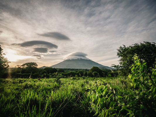 Nicaragua Matagalpa Organic Washed
